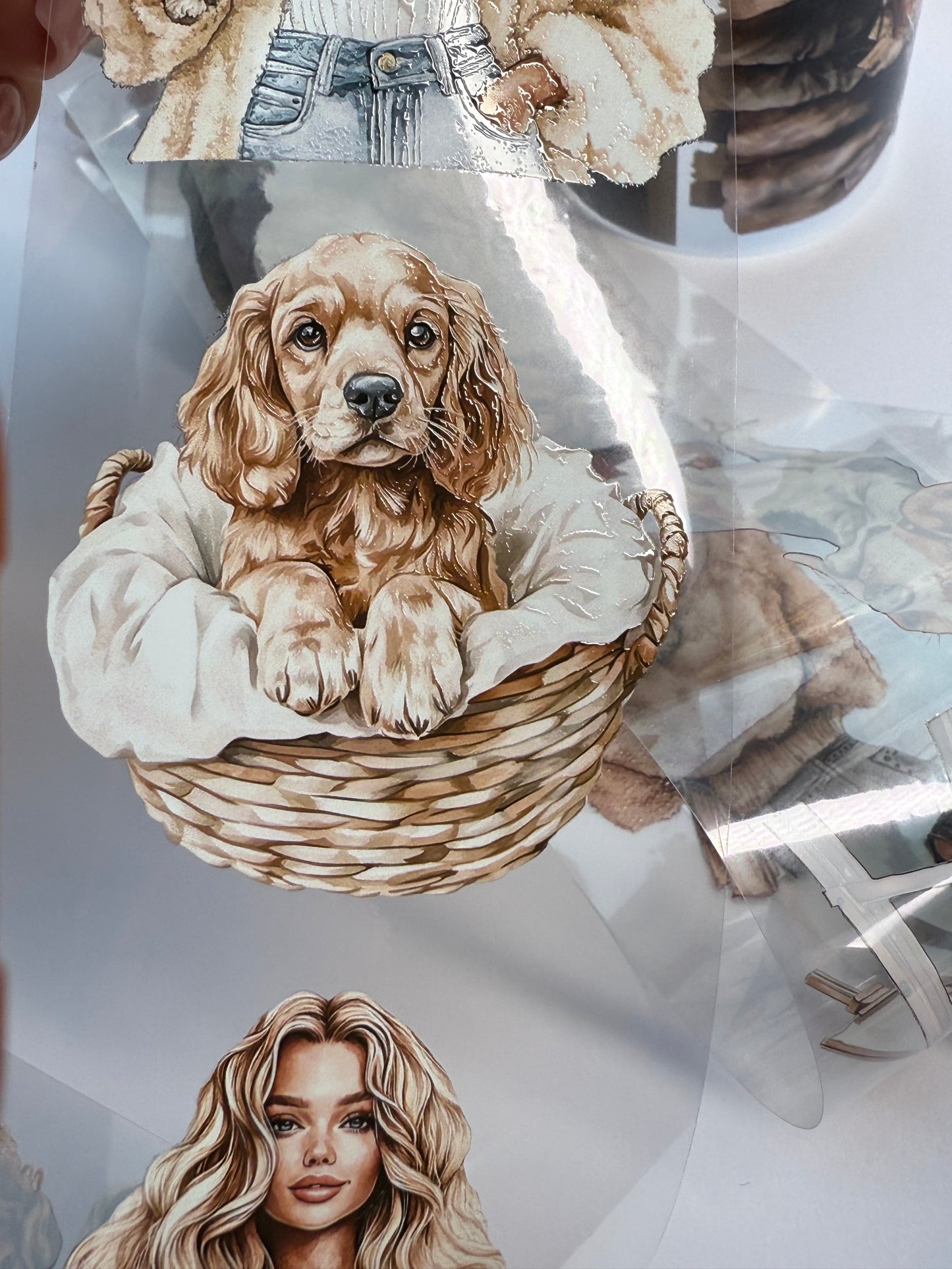 PET 3D raised Teacher and dog lover tape,one roll fashion, junk journal, scrapbooking,bullet journal, card making.