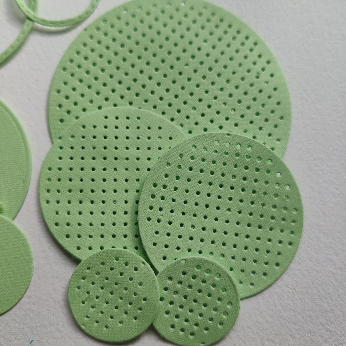 1 Pack, DIE cuts frames paper Precuts Pressed Flower Material Paper scrapbooking , Suitable For DIY Decoration Of Journals, Journaling.