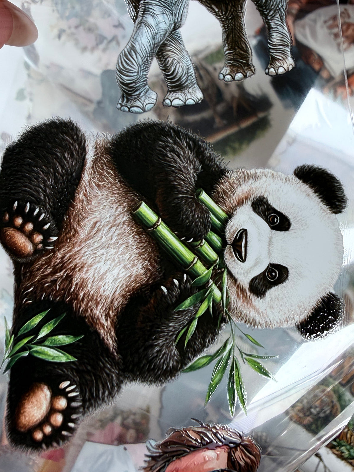 Zoo Day and Picnic in the Park PET 3D raised tape