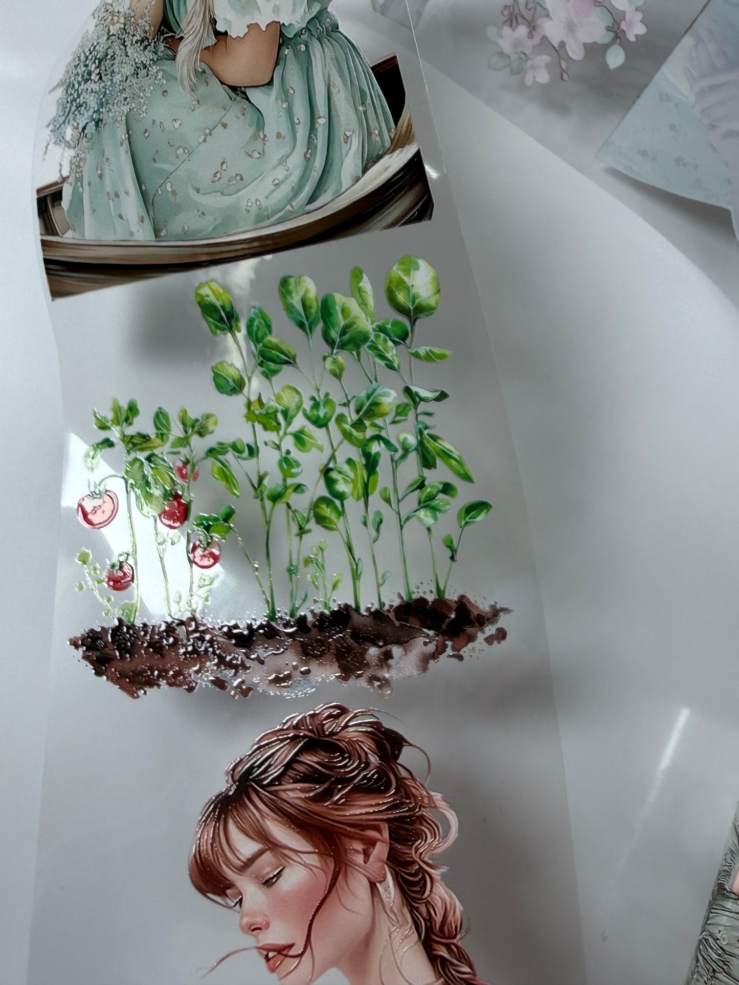 Strawberry garden and Gardening PET 3D raised tape