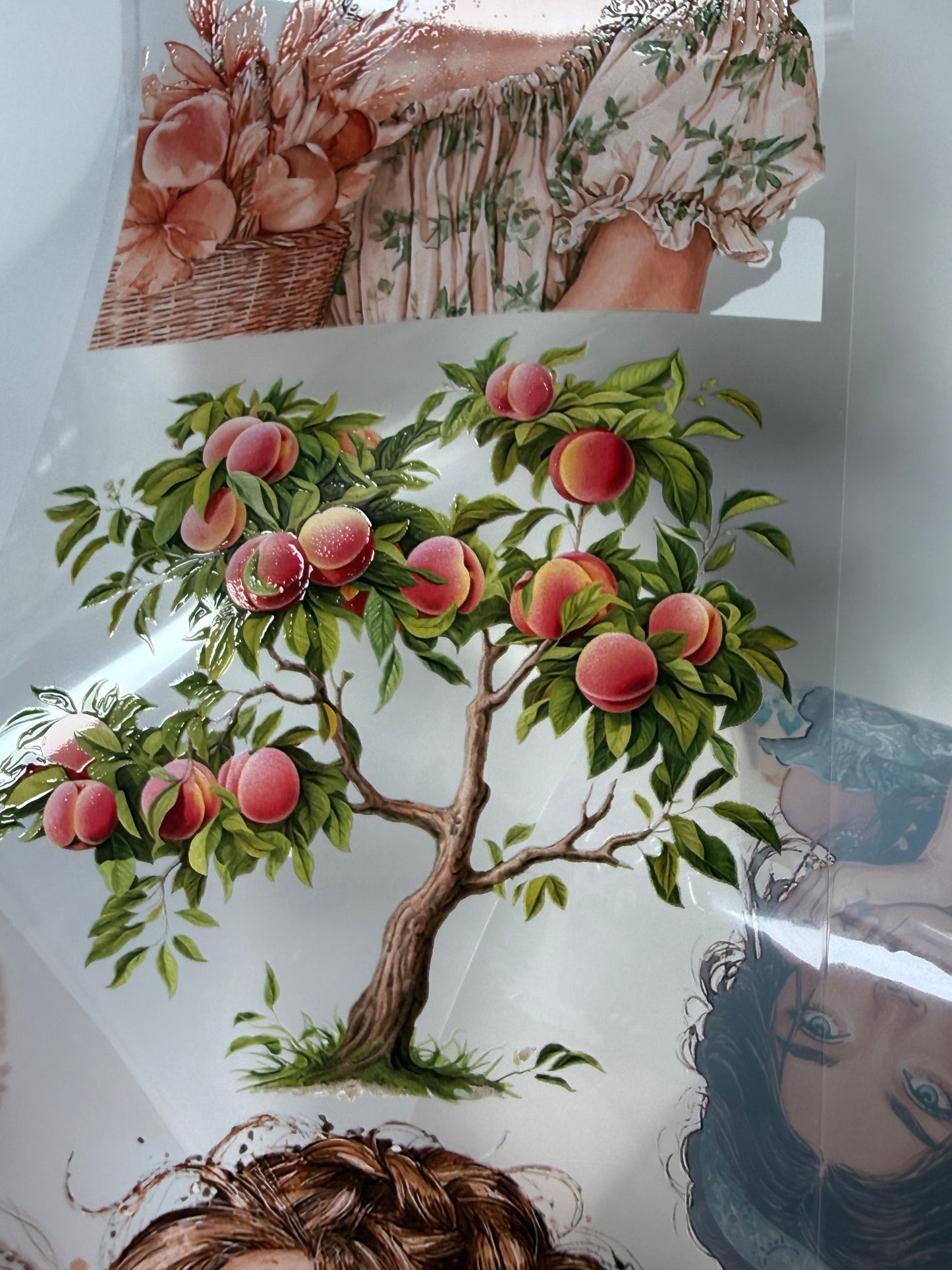 Moroccan Summer day and Peach Farm PET 3D raised tape
