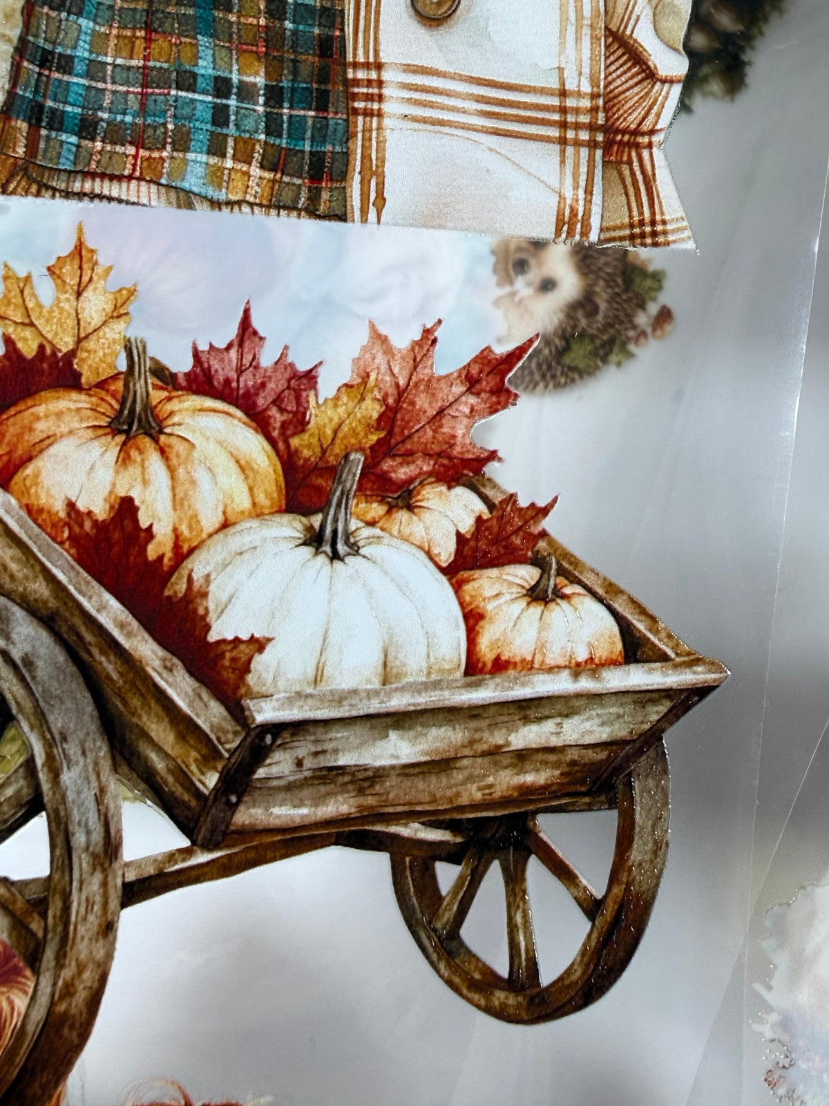 Autumn in forest PET 3D raised tape