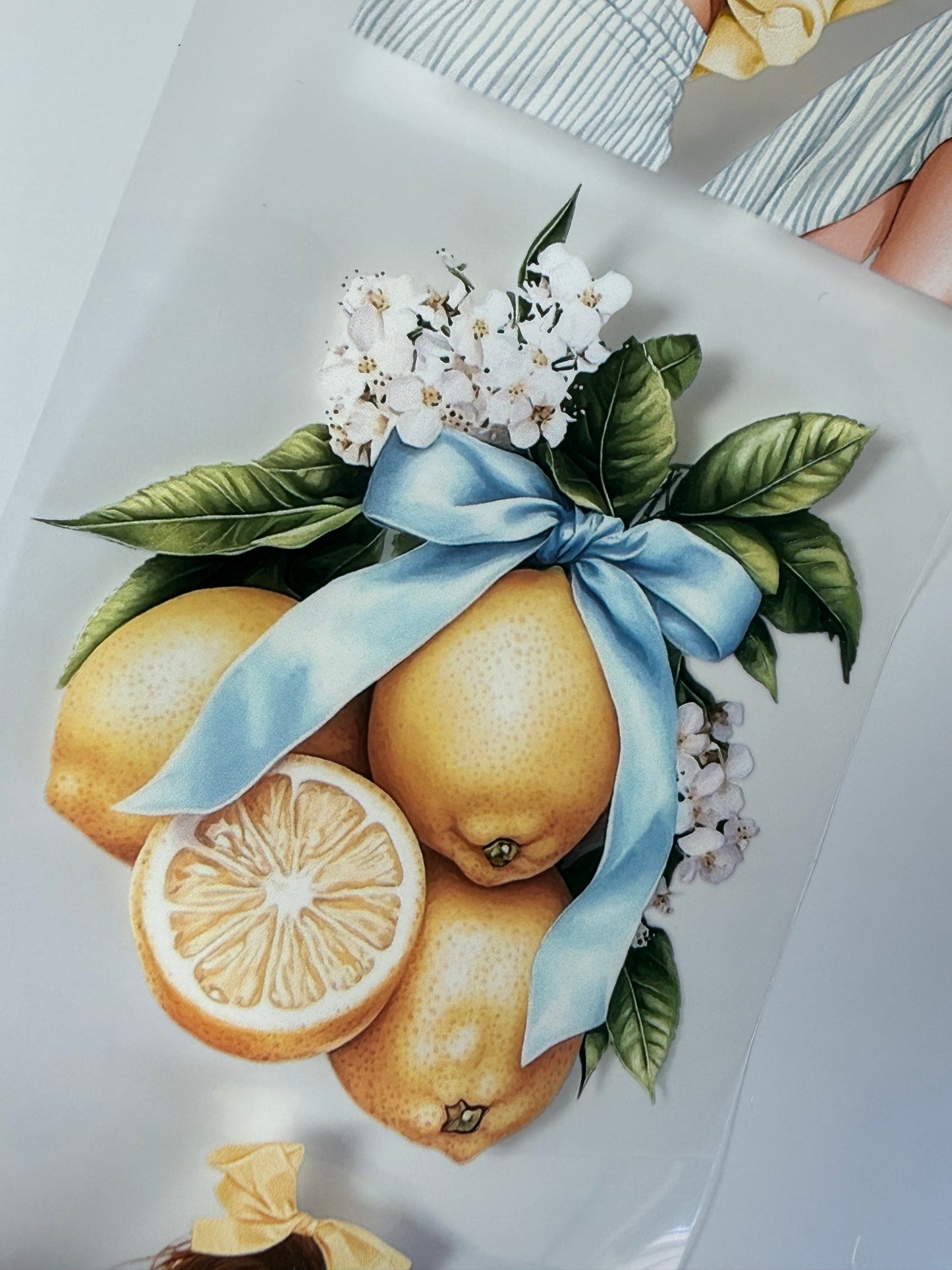 East Coast Summer and Coastal Spring PET 3D raised tape