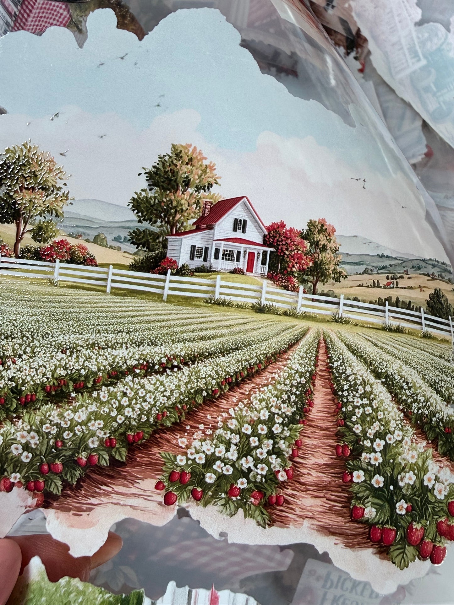 PET 3D raised Strawberry farm Landscape tape