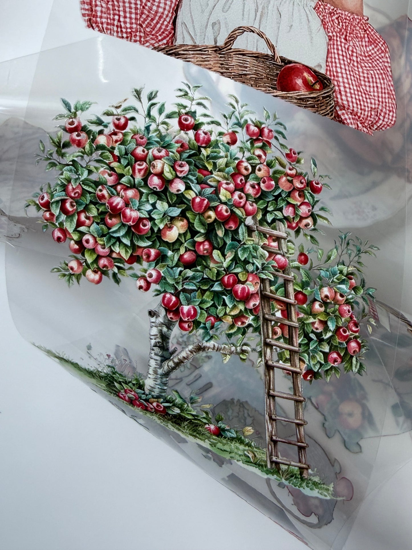 Flower Shop and Apple Farm PET 3D raised tape