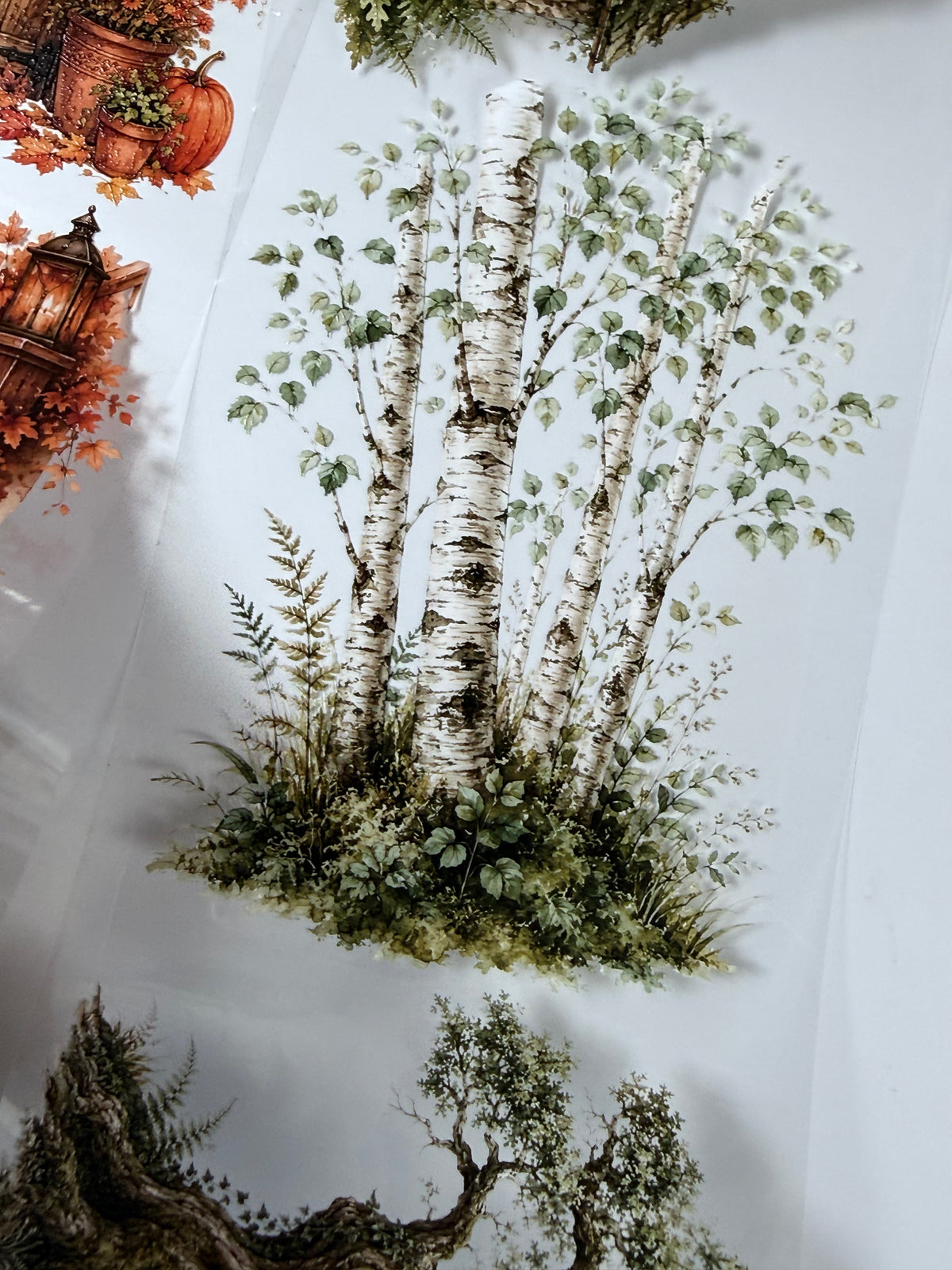 Forest and Amber autumn Landscape PET 3D raised tape.