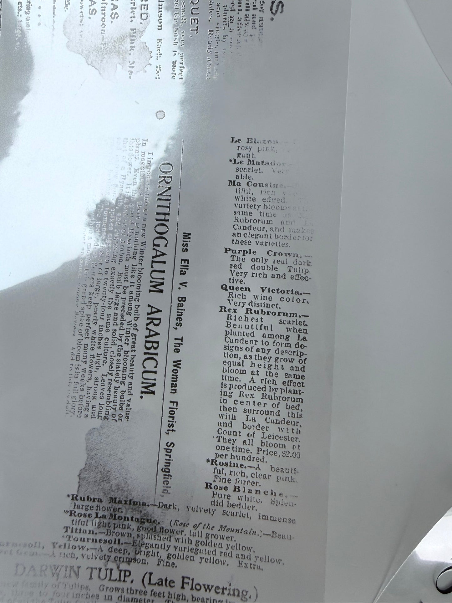 Words PET 3D raised tape